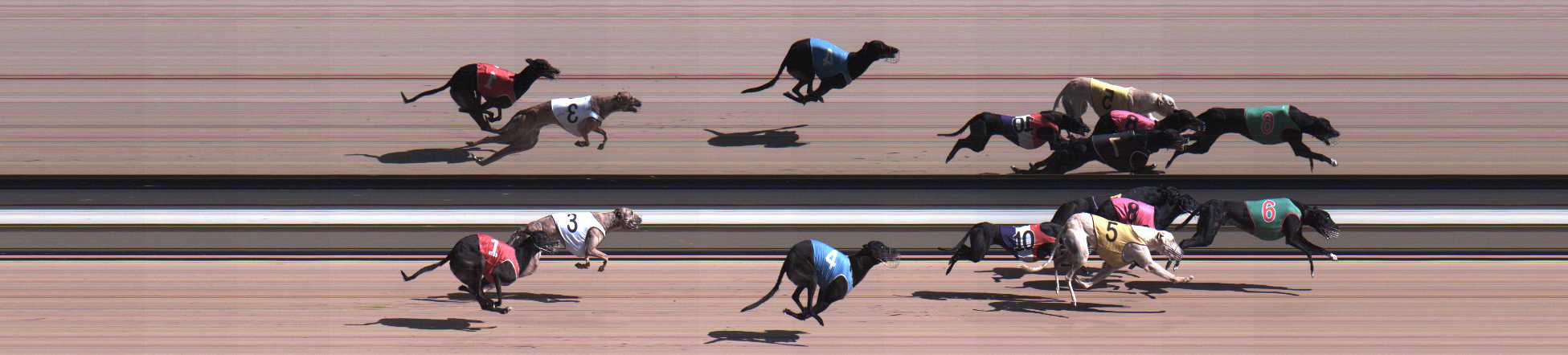 Photo finish for Warragul Race 8