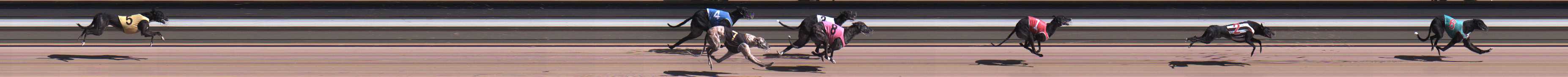 Photo finish for Warragul Race 9