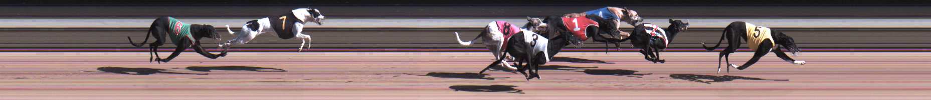 Photo finish for Warragul Race 10