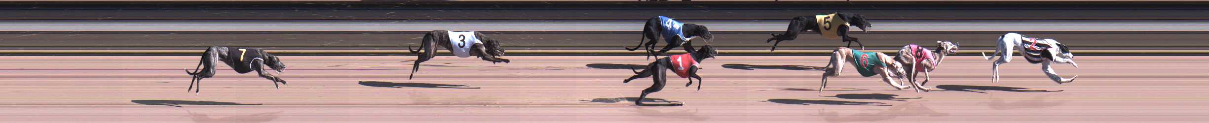 Photo finish for Warragul Race 11