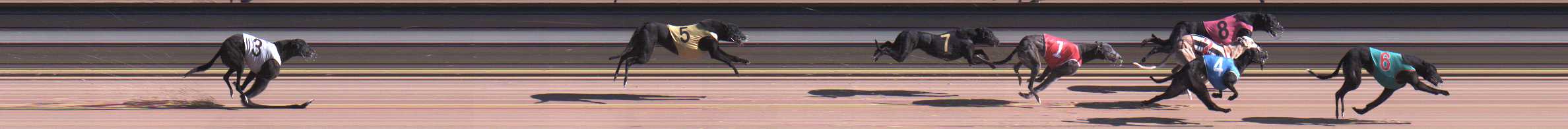 Photo finish for Warragul Race 12