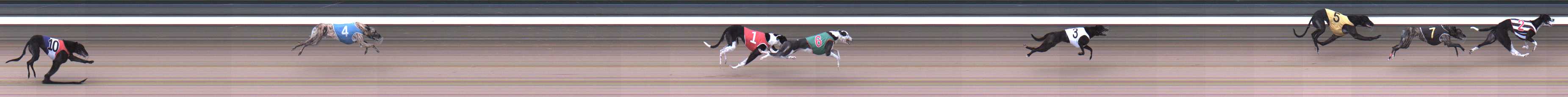 Photo finish for Warragul Race 1