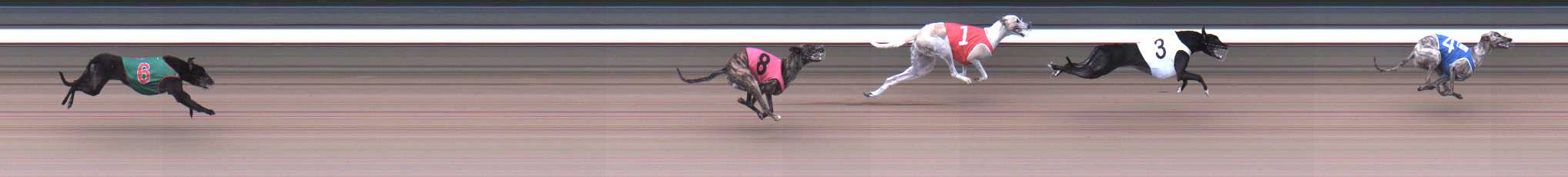 Photo finish for Warragul Race 3