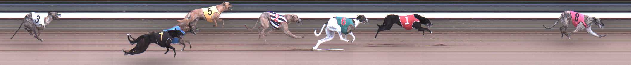 Photo finish for Warragul Race 4