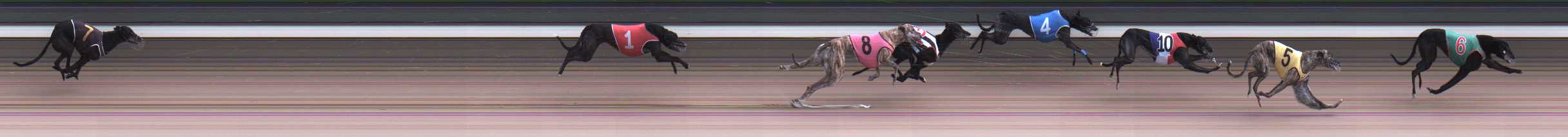 Photo finish for Warragul Race 5