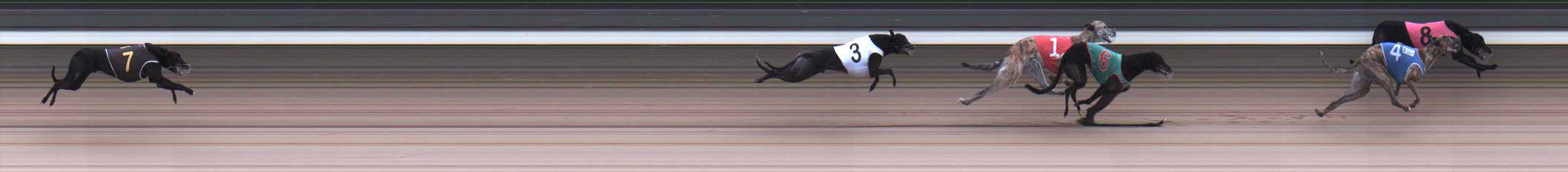 Photo finish for Warragul Race 6