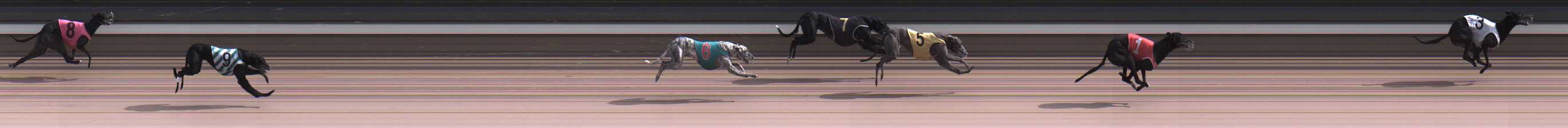 Photo finish for Warragul Race 7