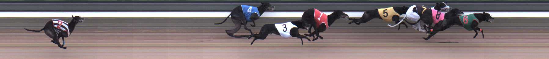 Photo finish for Warragul Race 8