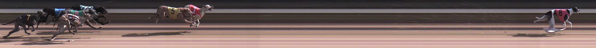 Photo finish for Warragul Race 9