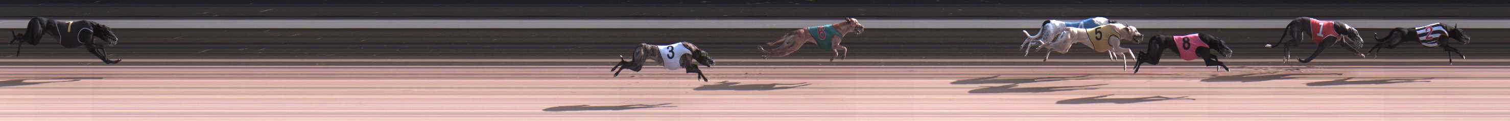 Photo finish for Warragul Race 2