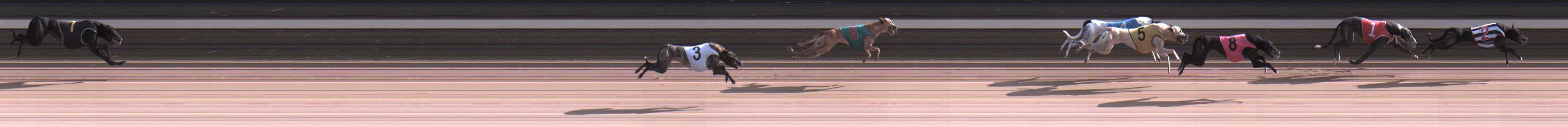 Photo finish for Warragul Race 10
