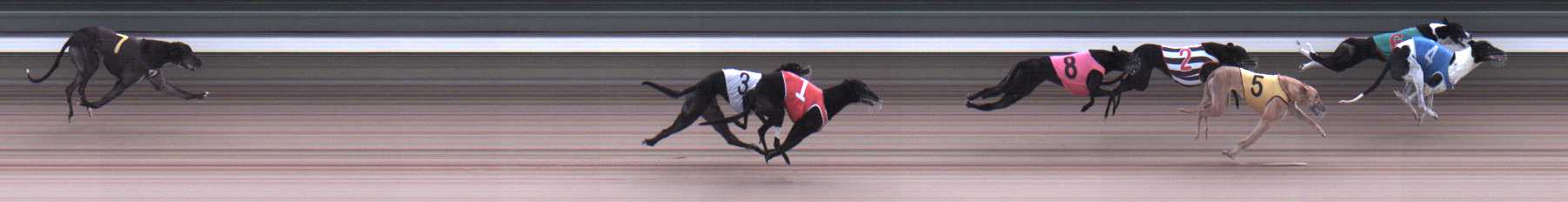 Photo finish for Warragul Race 11
