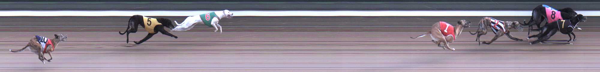 Photo finish for Warragul Race 12