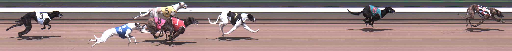 Photo finish for Warragul Race 2