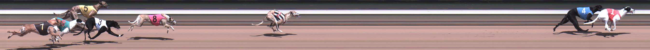 Photo finish for Warragul Race 3