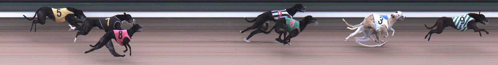 Photo finish for Warragul Race 4