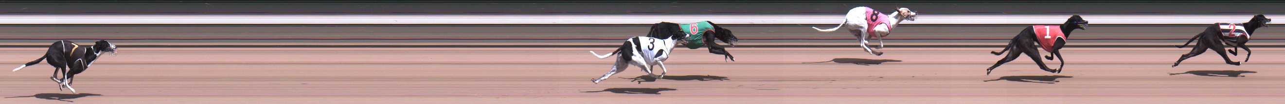 Photo finish for Warragul Race 5