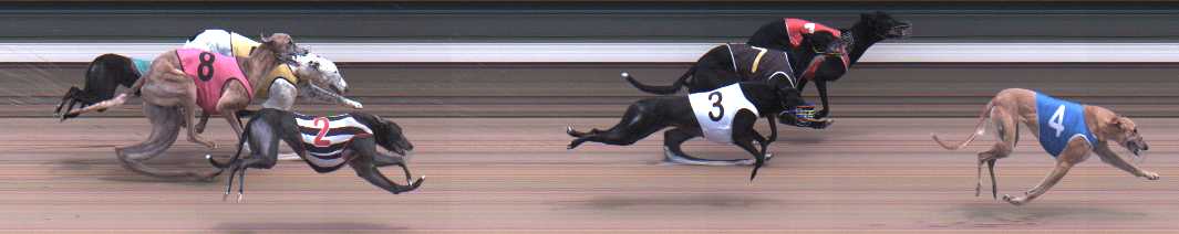 Photo finish for Warragul Race 6