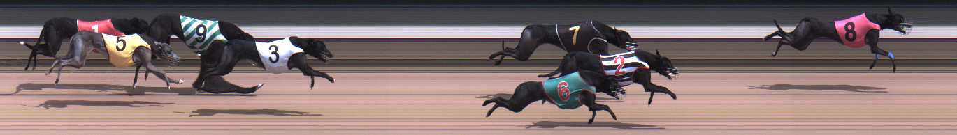 Photo finish for Warragul Race 7