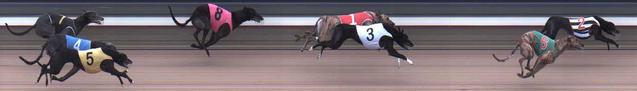 Photo finish for Warragul Race 8
