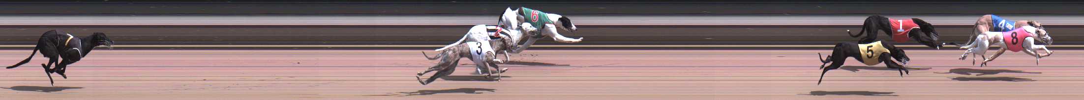Photo finish for Warragul Race 9