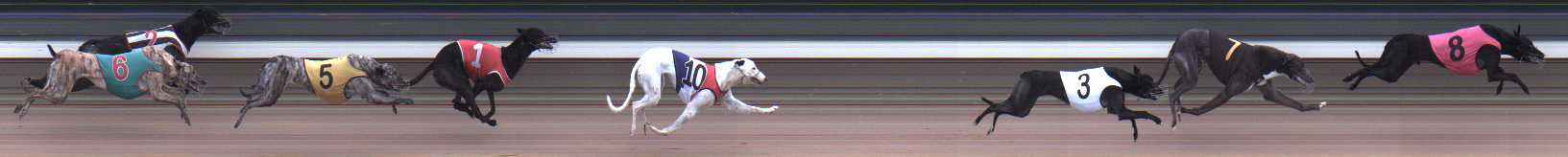 Photo finish for Warragul Race 10