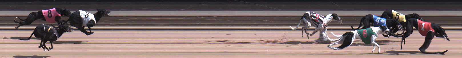 Photo finish for Warragul Race 11