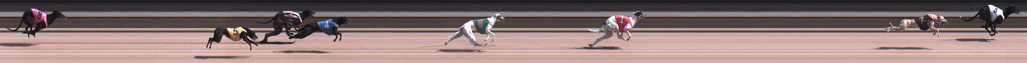 Photo finish for Warragul Race 12