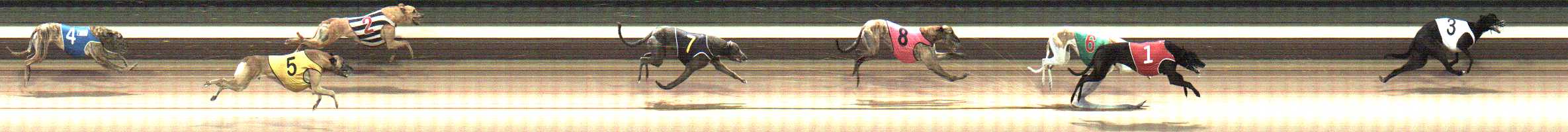 Photo finish for Warragul Race 2