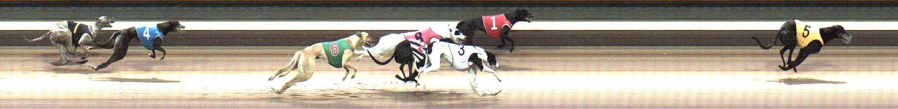 Photo finish for Warragul Race 3