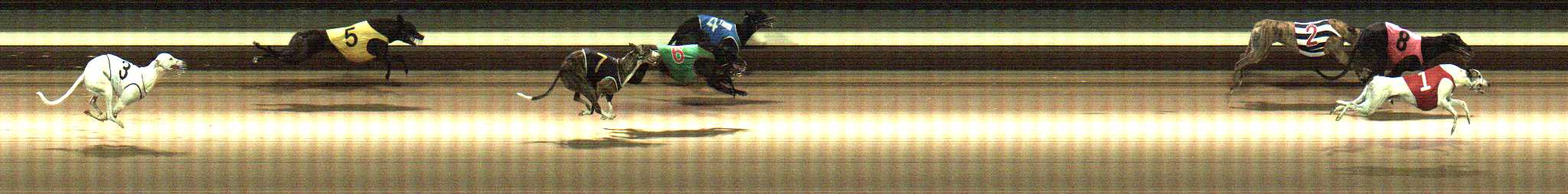 Photo finish for Warragul Race 4