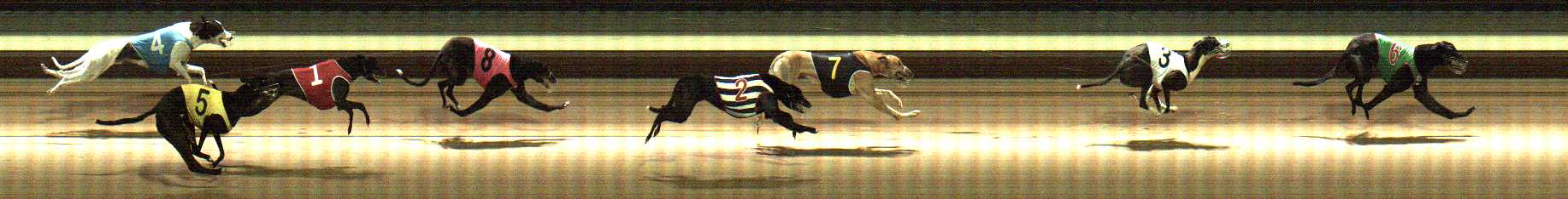 Photo finish for Warragul Race 5