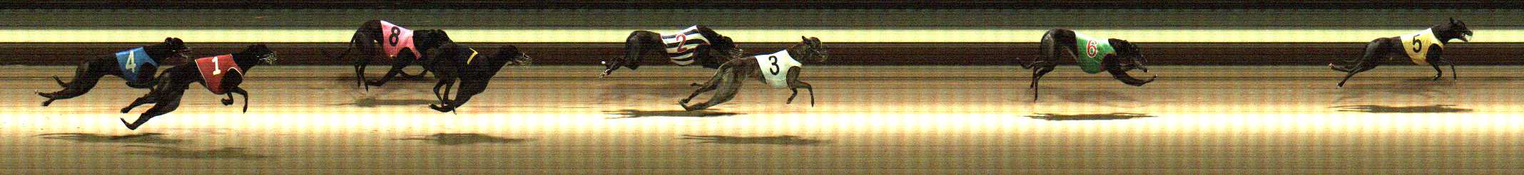 Photo finish for Warragul Race 6