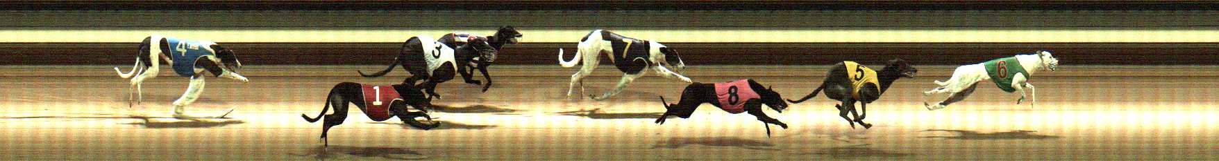 Photo finish for Warragul Race 7