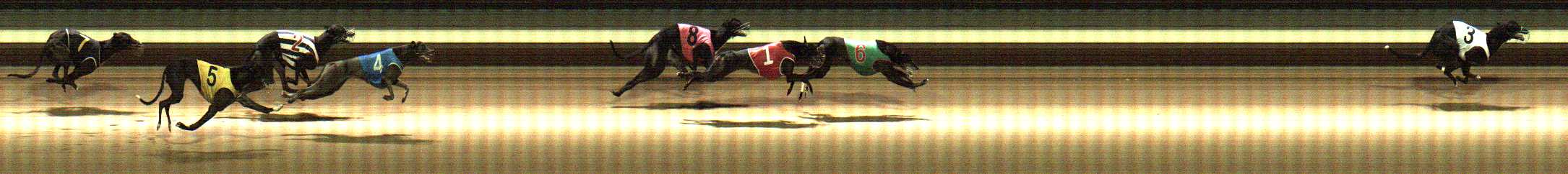 Photo finish for Warragul Race 8