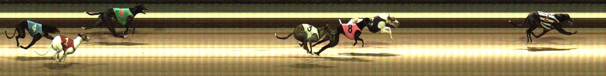 Photo finish for Warragul Race 9