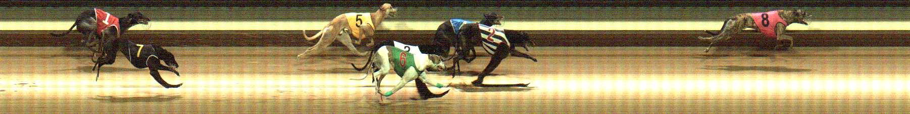 Photo finish for Warragul Race 10