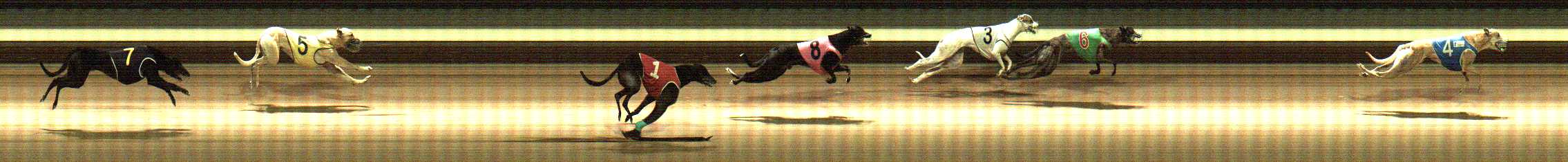 Photo finish for Warragul Race 11