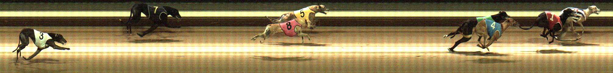 Photo finish for Warragul Race 12