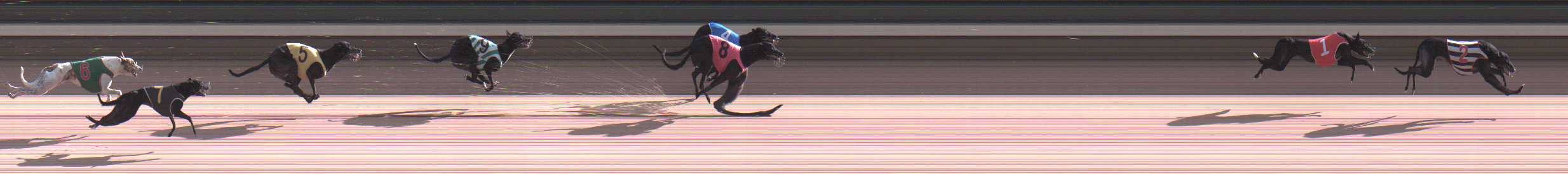 Photo finish for Warragul Race 1