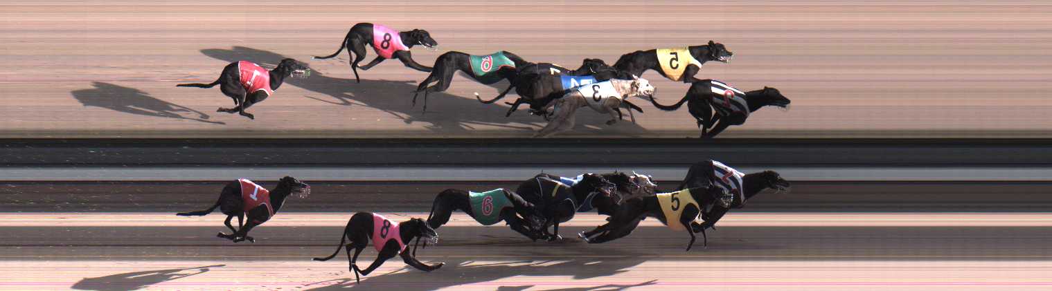 Photo finish for Warragul Race 2