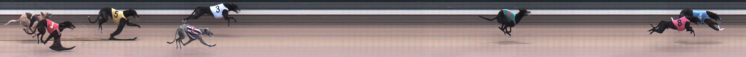 Photo finish for Warragul Race 3