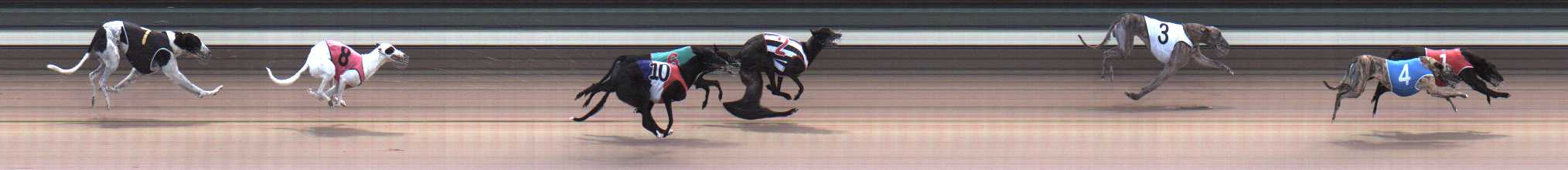 Photo finish for Warragul Race 4