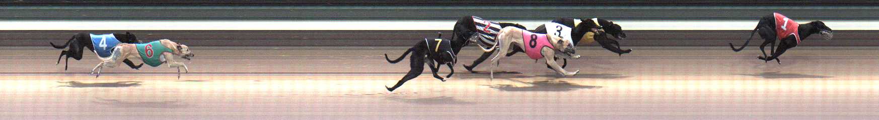 Photo finish for Warragul Race 5