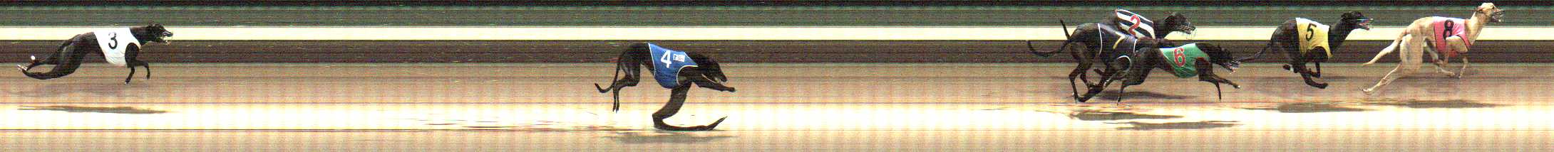 Photo finish for Warragul Race 6