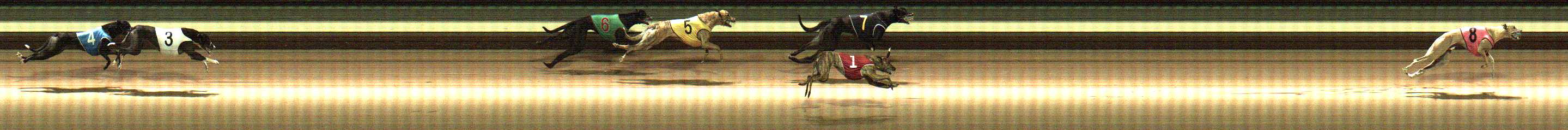 Photo finish for Warragul Race 7