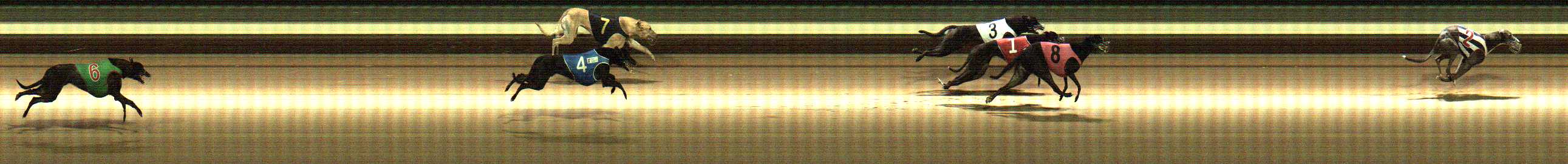 Photo finish for Warragul Race 8