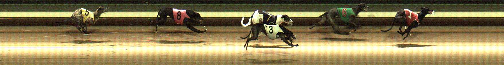 Photo finish for Warragul Race 9