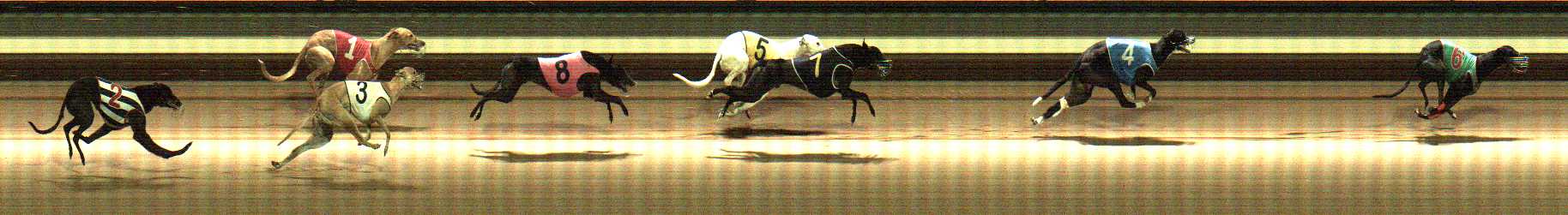 Photo finish for Warragul Race 10
