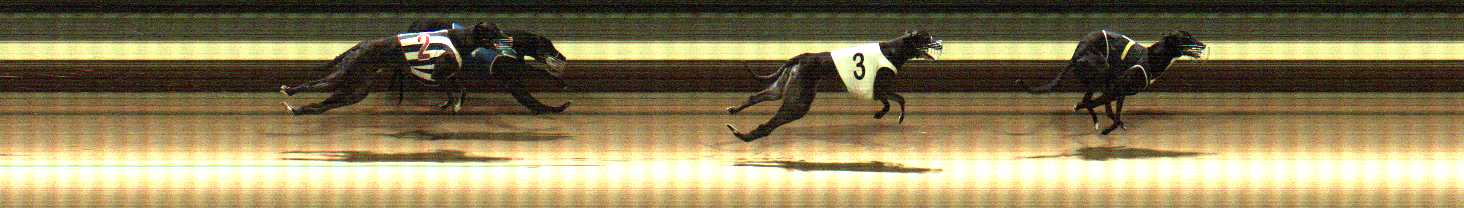 Photo finish for Warragul Race 11